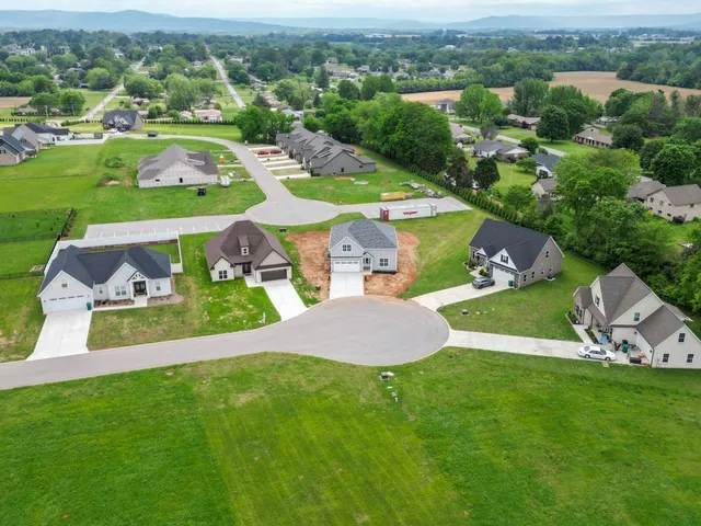 an aerial view of a house with a yard and a large tree