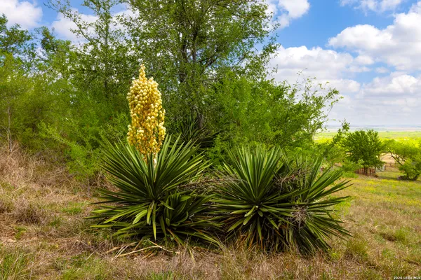 $950,000 | 12017 Farm To Market 20, Kingsbury, TX 78638