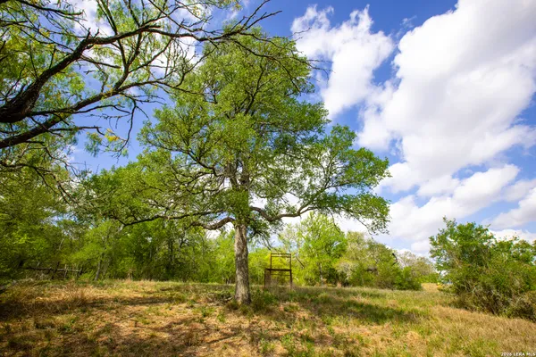 $950,000 | 12017 Farm To Market 20, Kingsbury, TX 78638