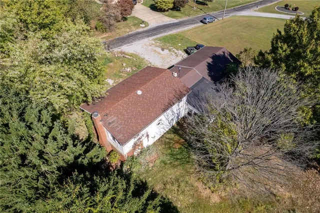 a view of a forest with a forest