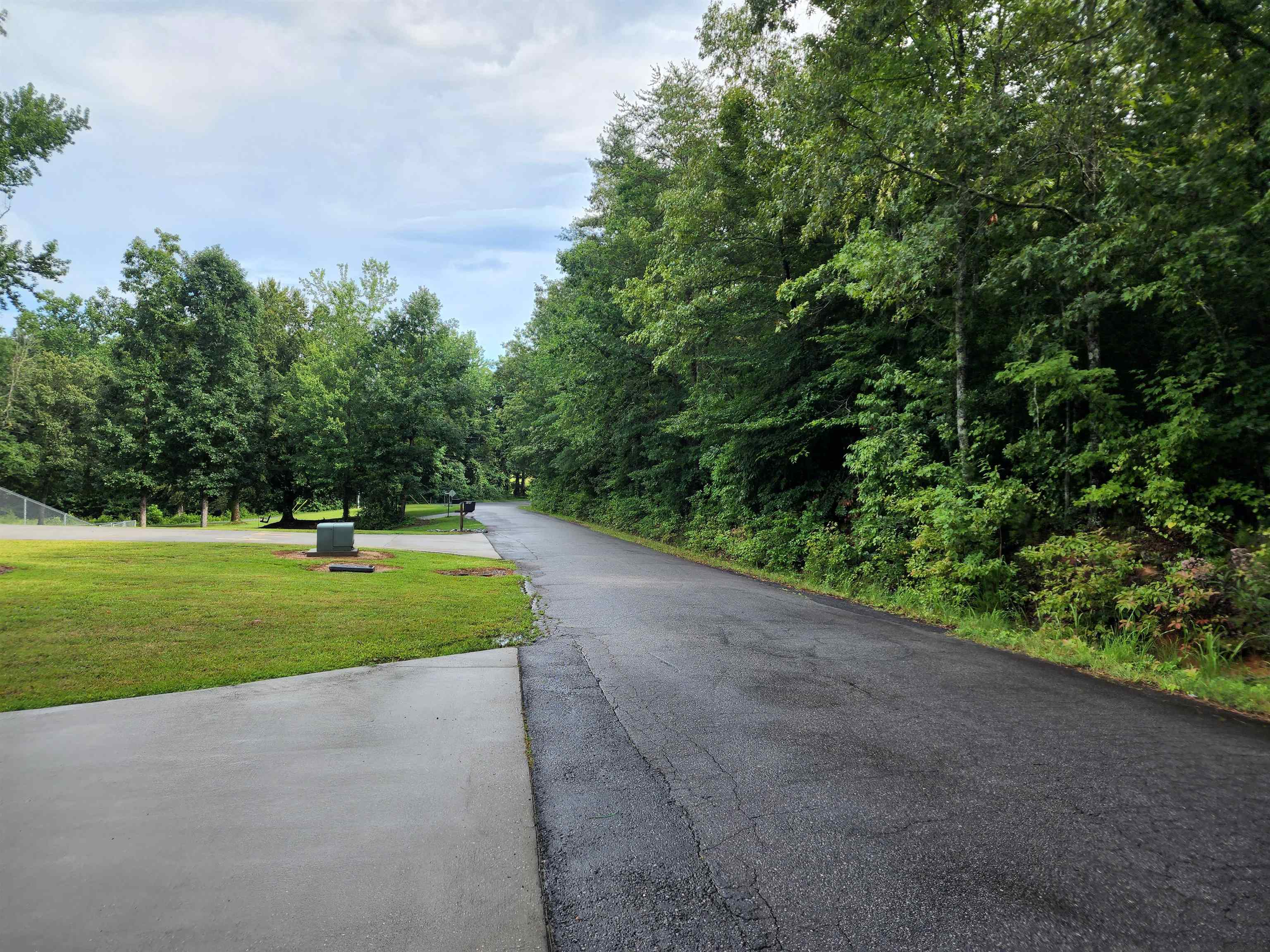 Tbd Hamilton Road Marietta, SC 29661 - Photo 11 of 21