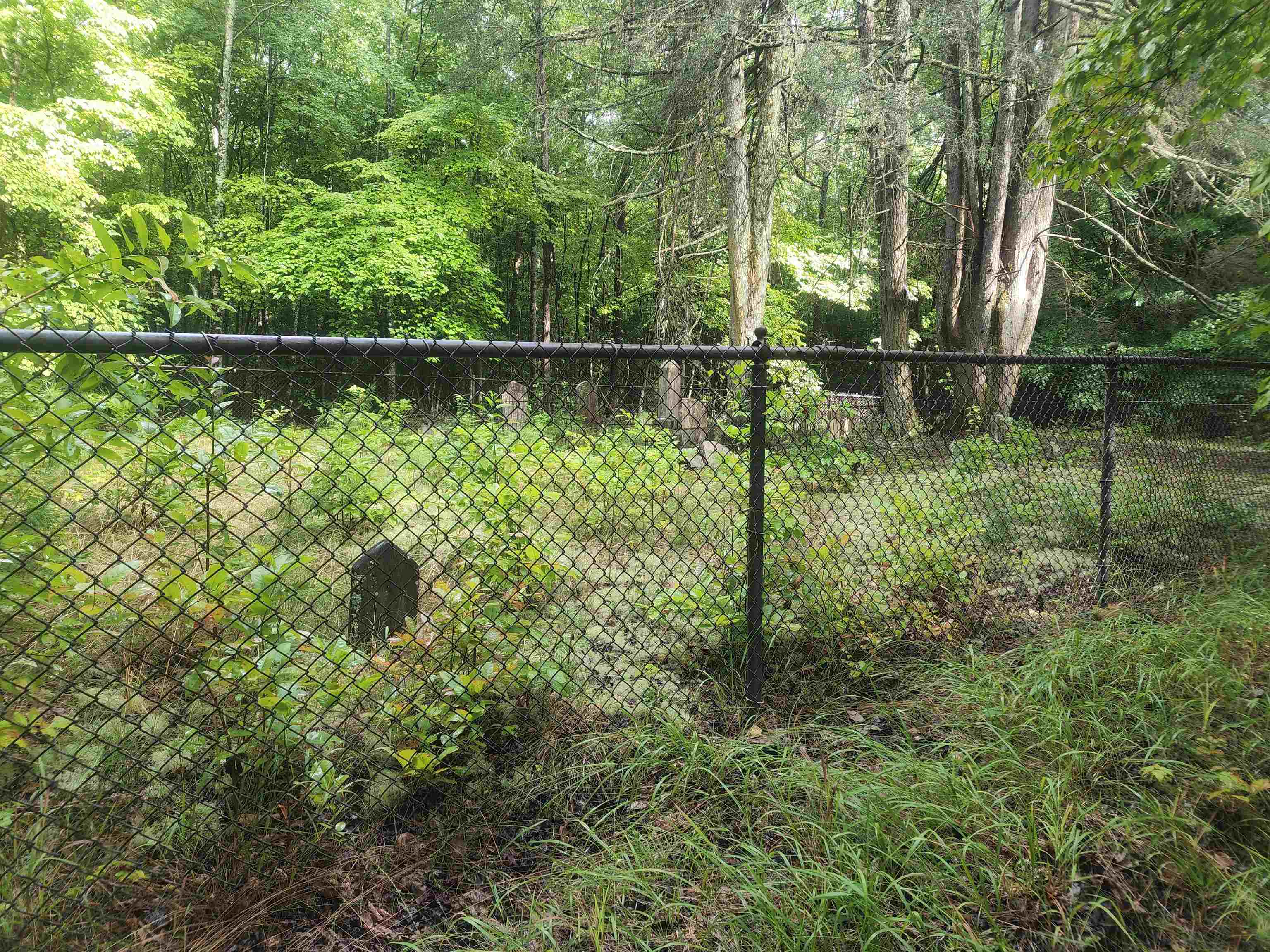 Tbd Hamilton Road Marietta, SC 29661 - Photo 14 of 21