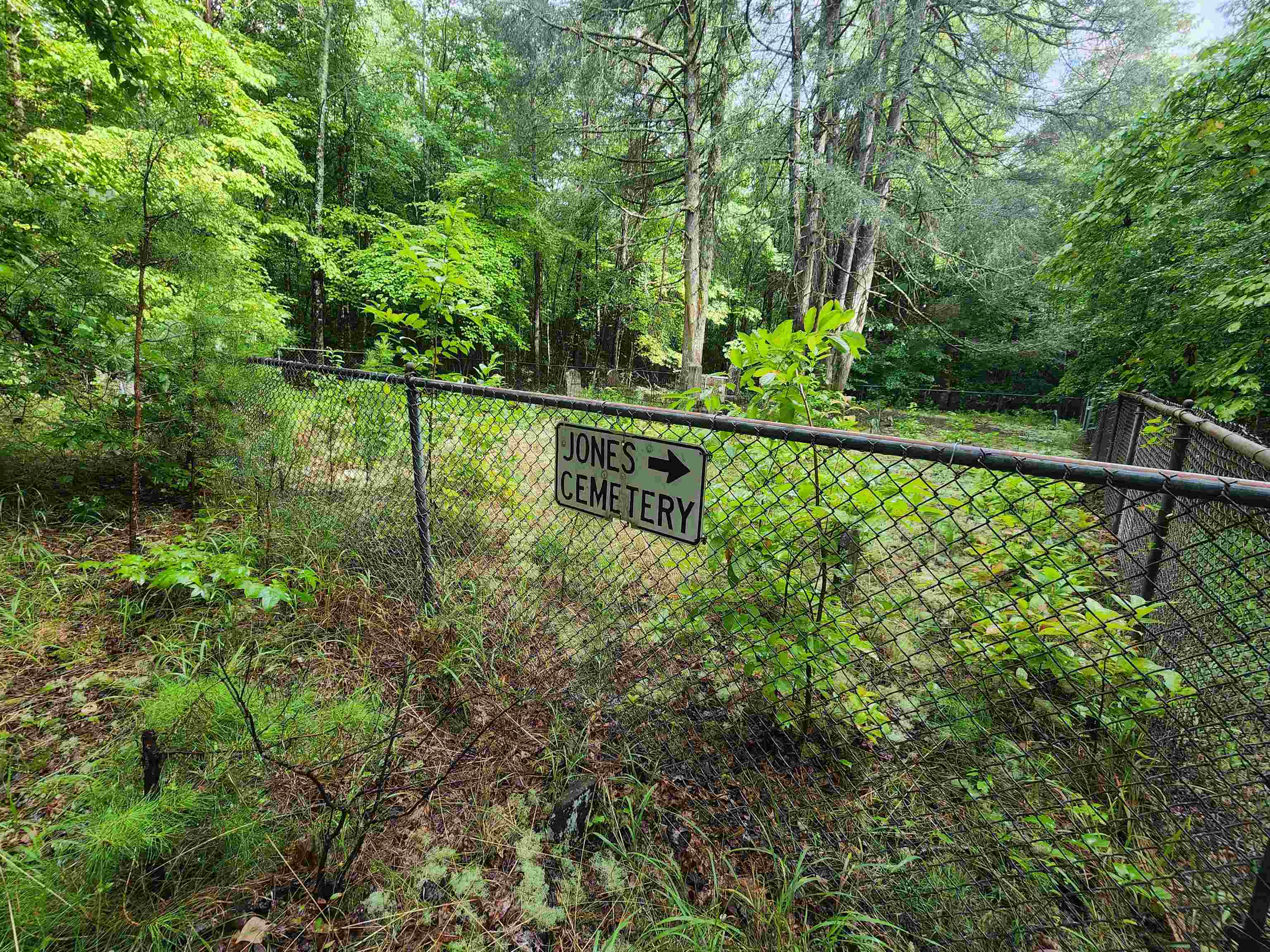 Tbd Hamilton Road Marietta, SC 29661 - Photo 15 of 21