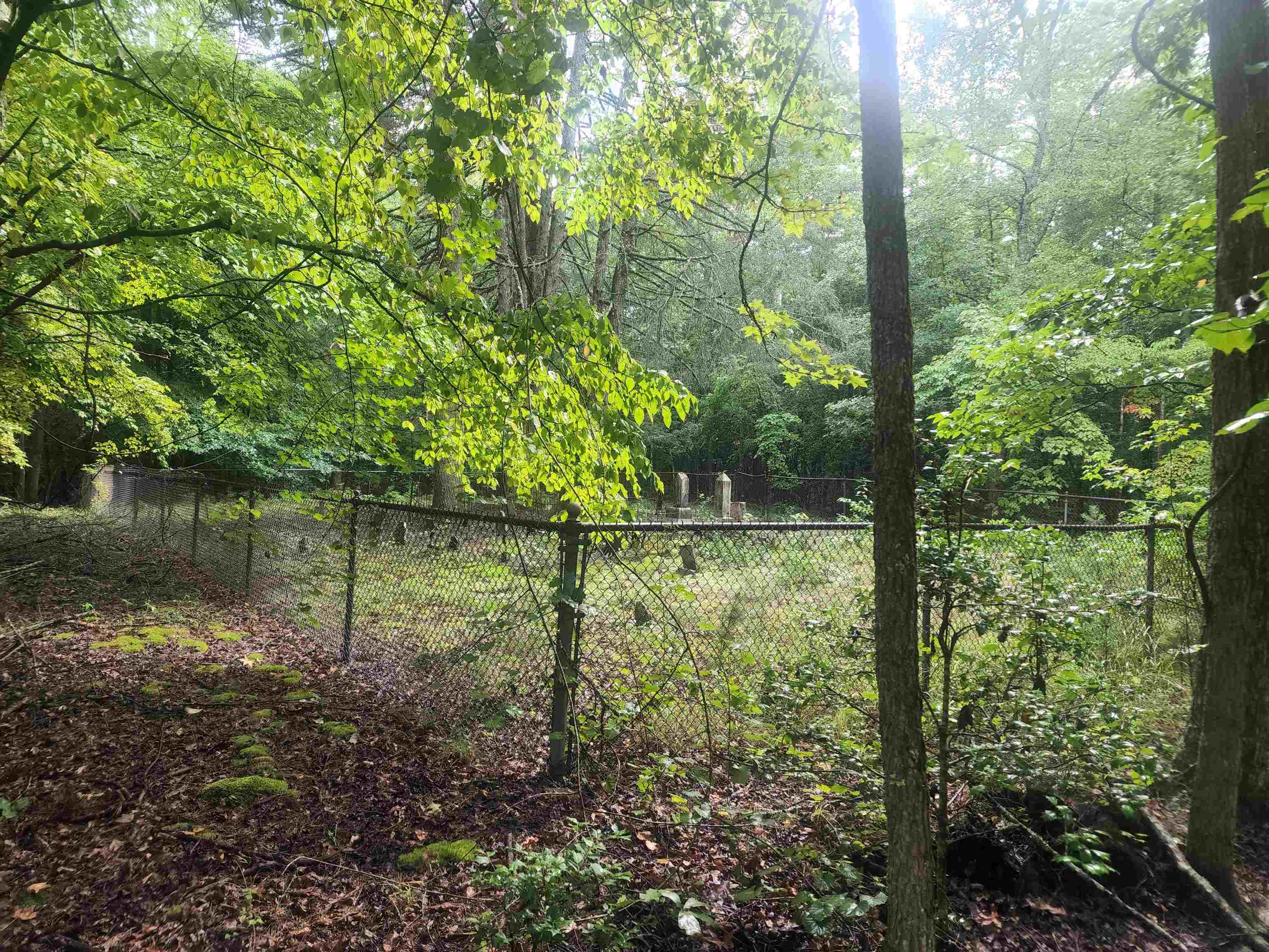 Tbd Hamilton Road Marietta, SC 29661 - Photo 18 of 21