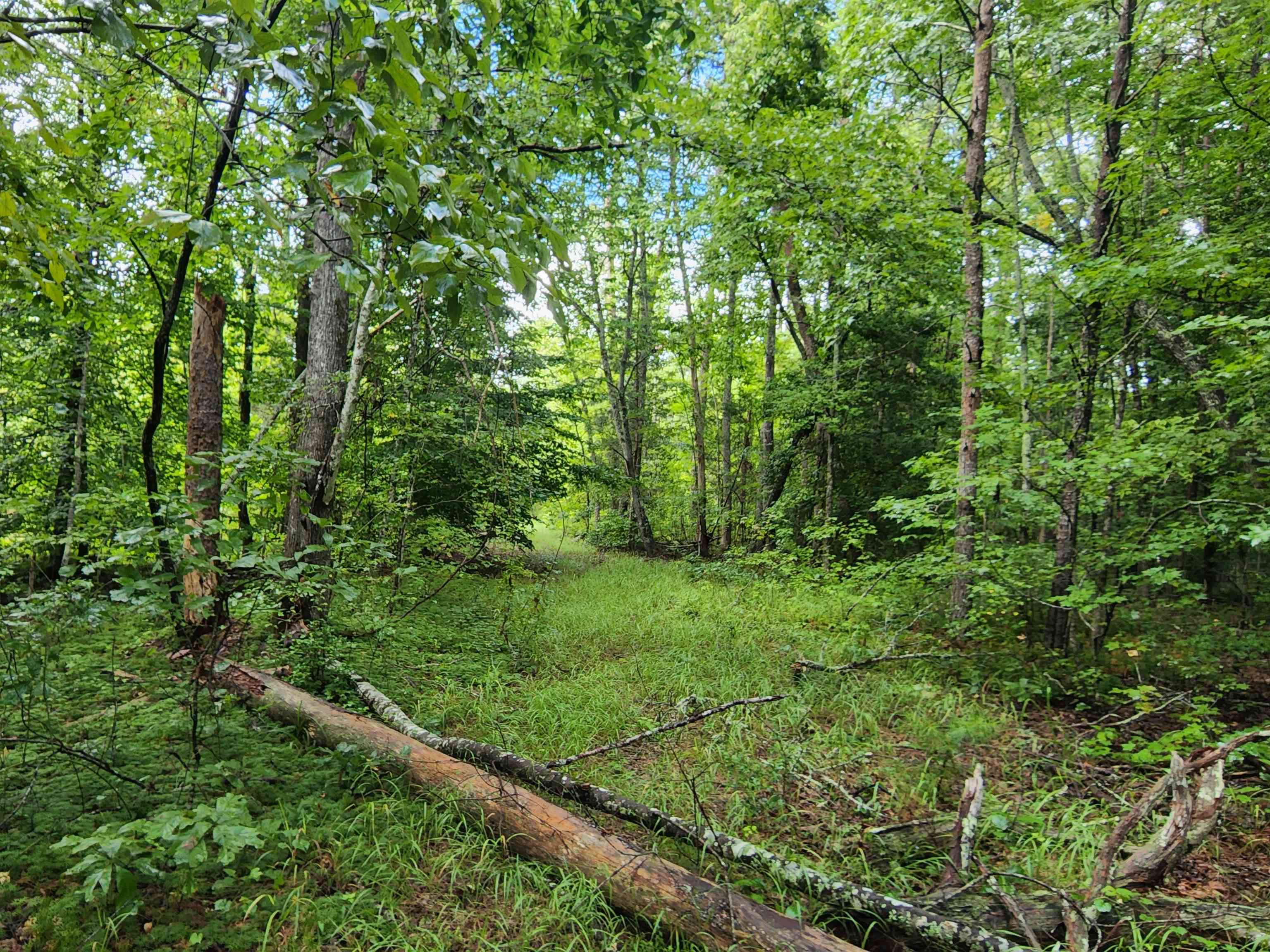 Tbd Hamilton Road Marietta, SC 29661 - Photo 19 of 21
