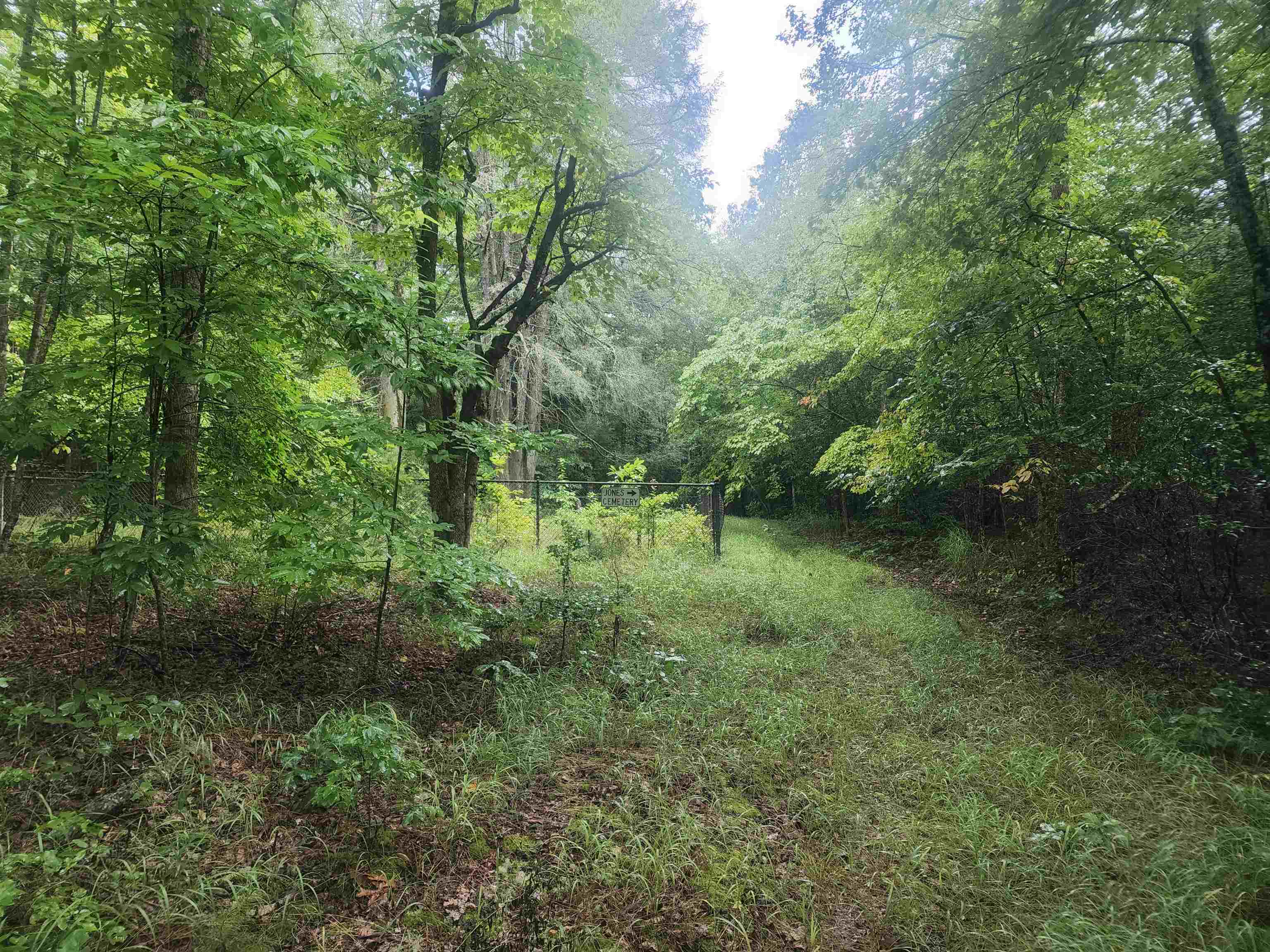 Tbd Hamilton Road Marietta, SC 29661 - Photo 20 of 21