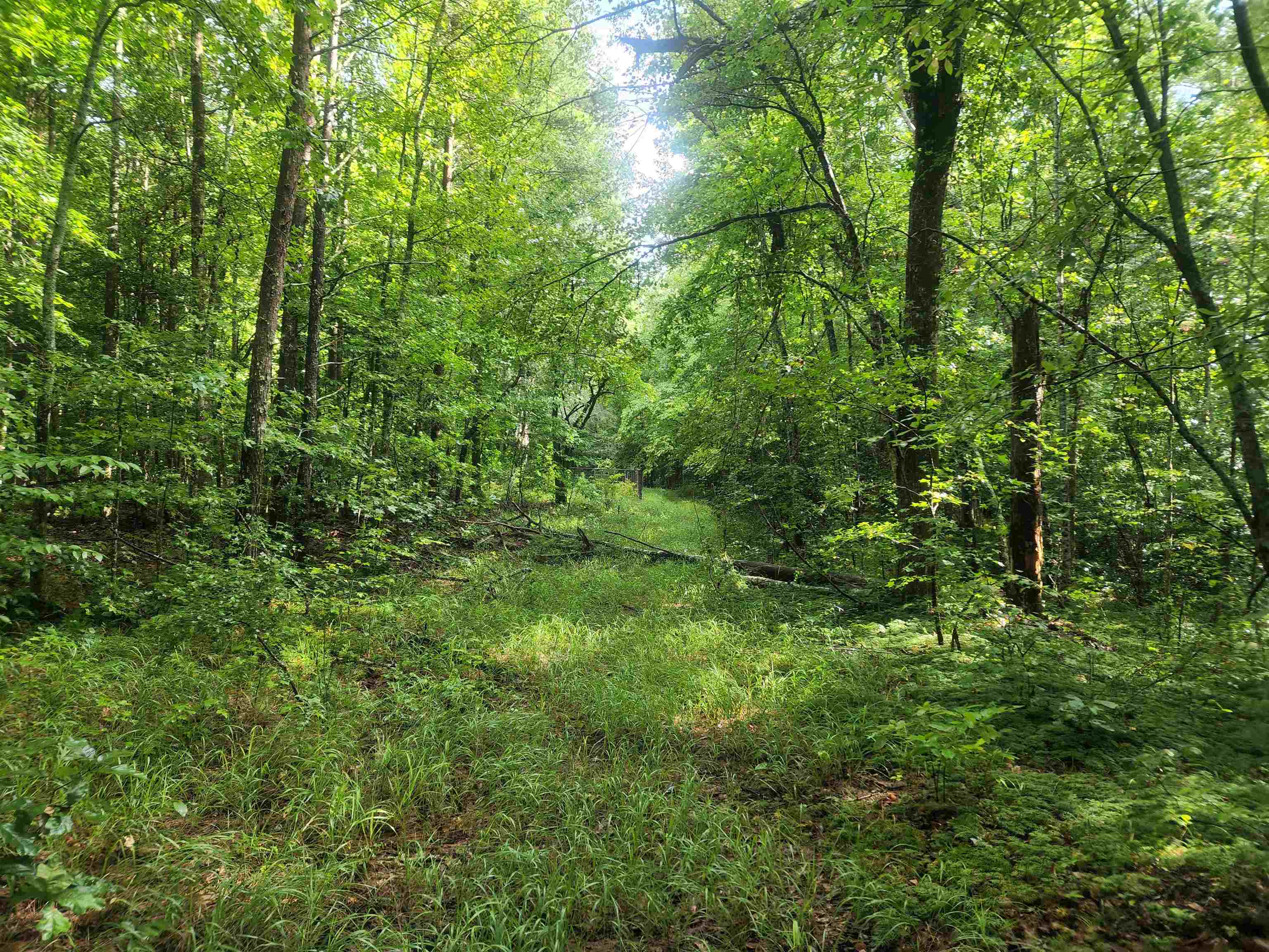 Tbd Hamilton Road Marietta, SC 29661 - Photo 2 of 21