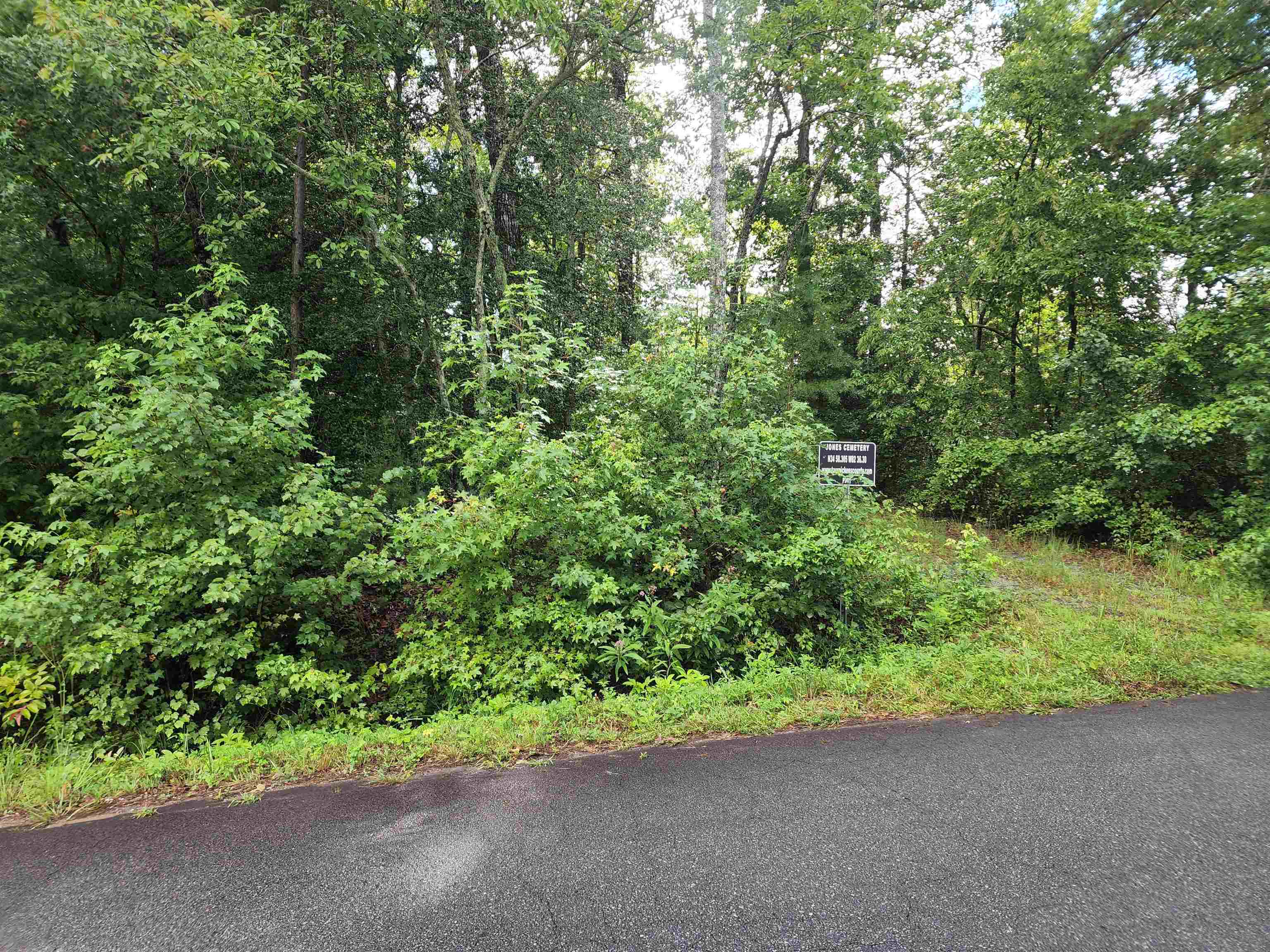 Tbd Hamilton Road Marietta, SC 29661 - Photo 4 of 21