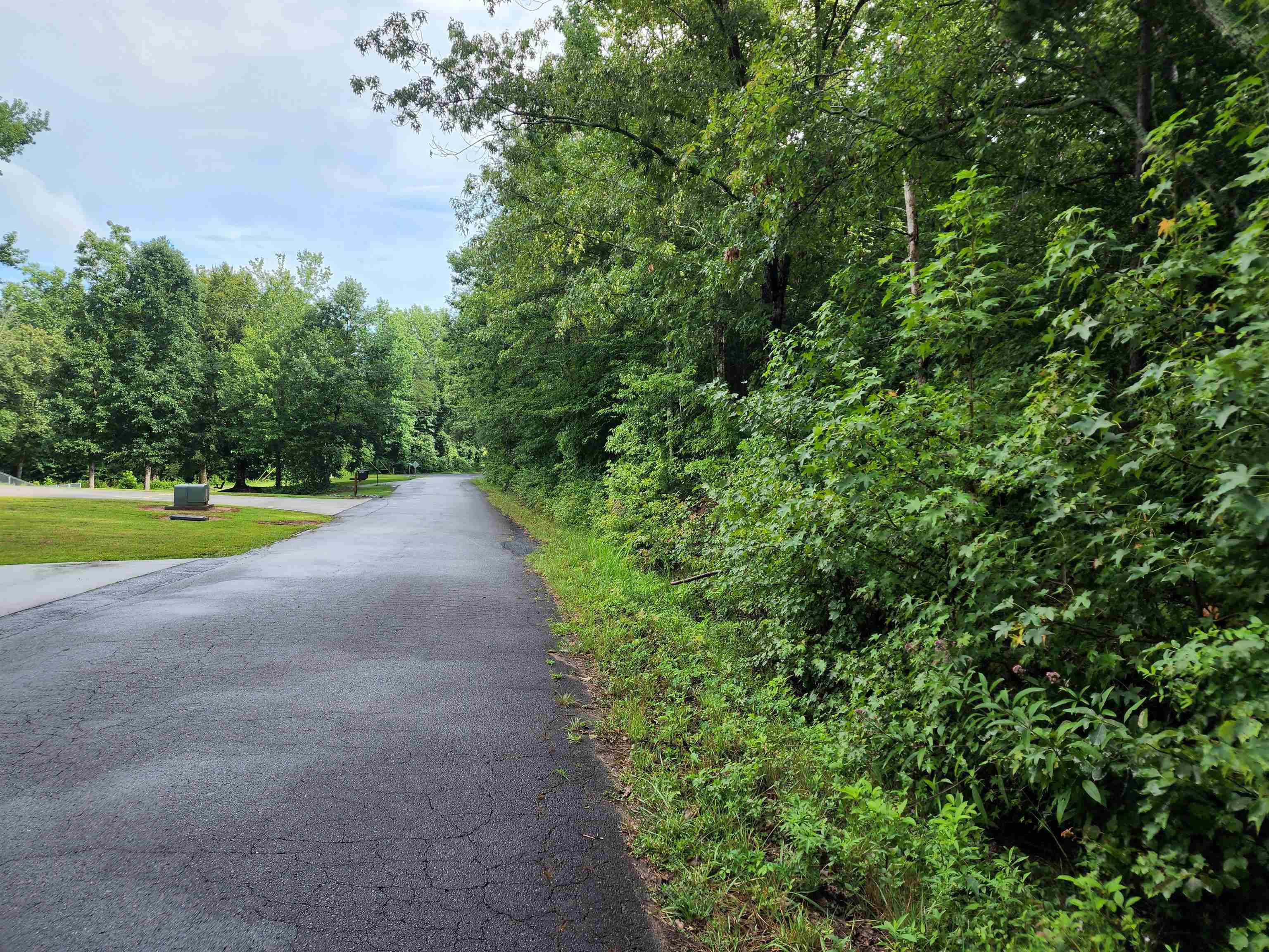 Tbd Hamilton Road Marietta, SC 29661 - Photo 9 of 21