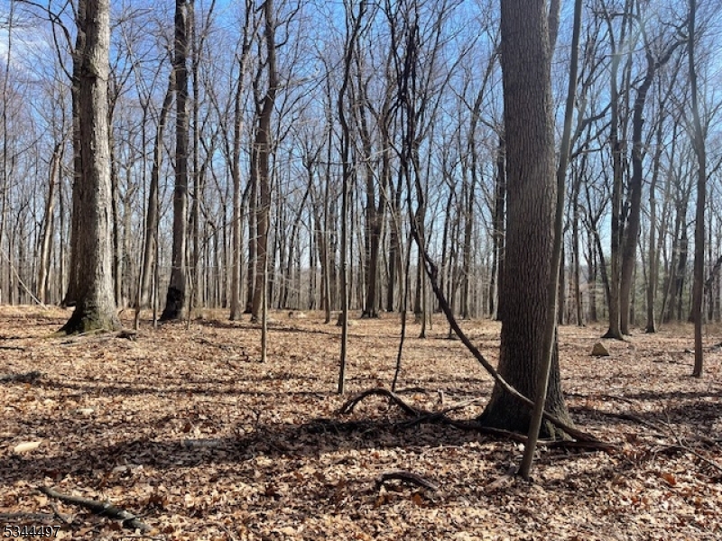 5 Calais Road Mendham, NJ 07945 - Photo 10 of 12 Gallery Image 10