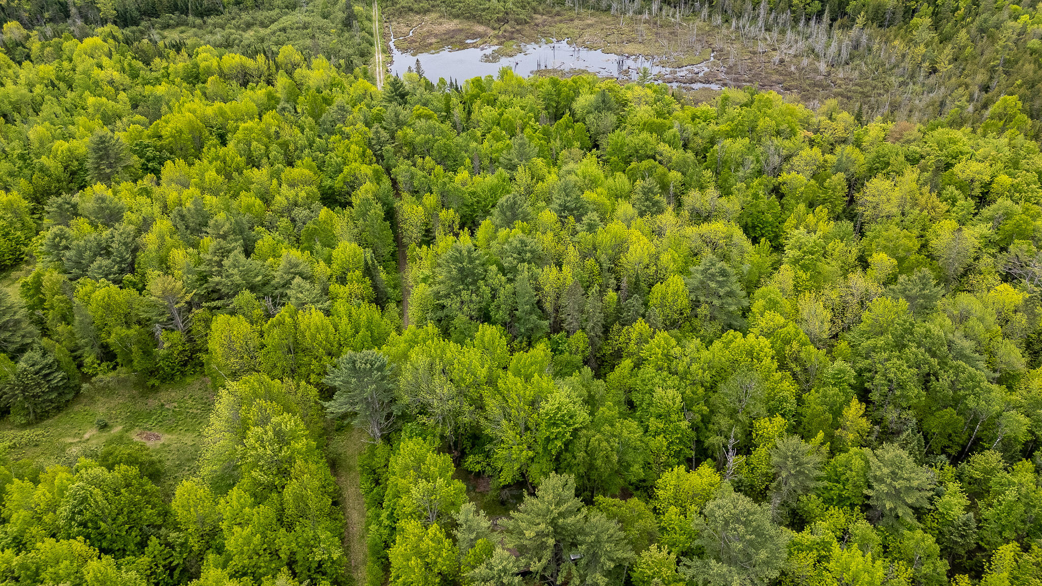 M5-l28 Cemetery Road Guilford, ME 04443 - Photo 54 of 58 DJI_20260602112114_0482_D