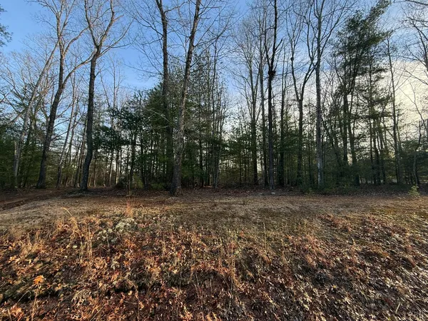 a view of a yard with trees