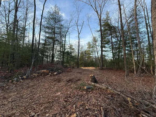 a view of outdoor space with trees