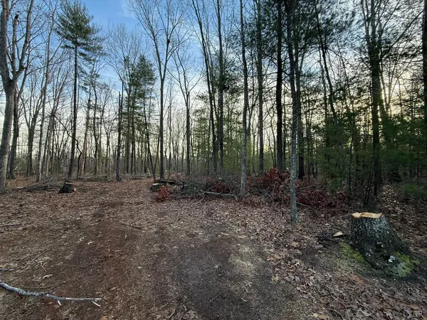 a view of outdoor space with lots of trees