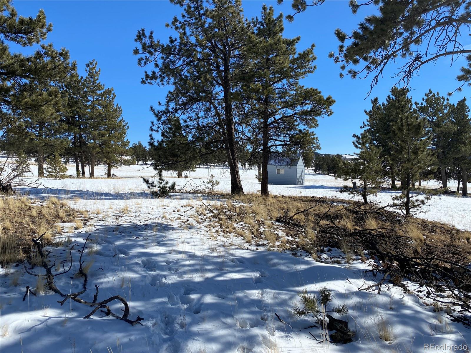 130 Oahu Road Hartsel, CO 80449 - Photo 13 of 16 Gallery Image 13