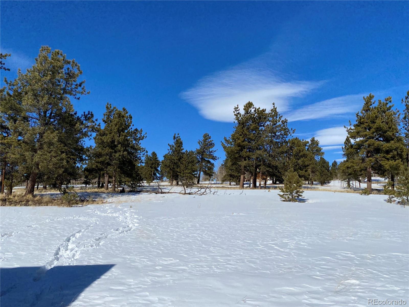 130 Oahu Road Hartsel, CO 80449 - Photo 4 of 16 Gallery Image 4