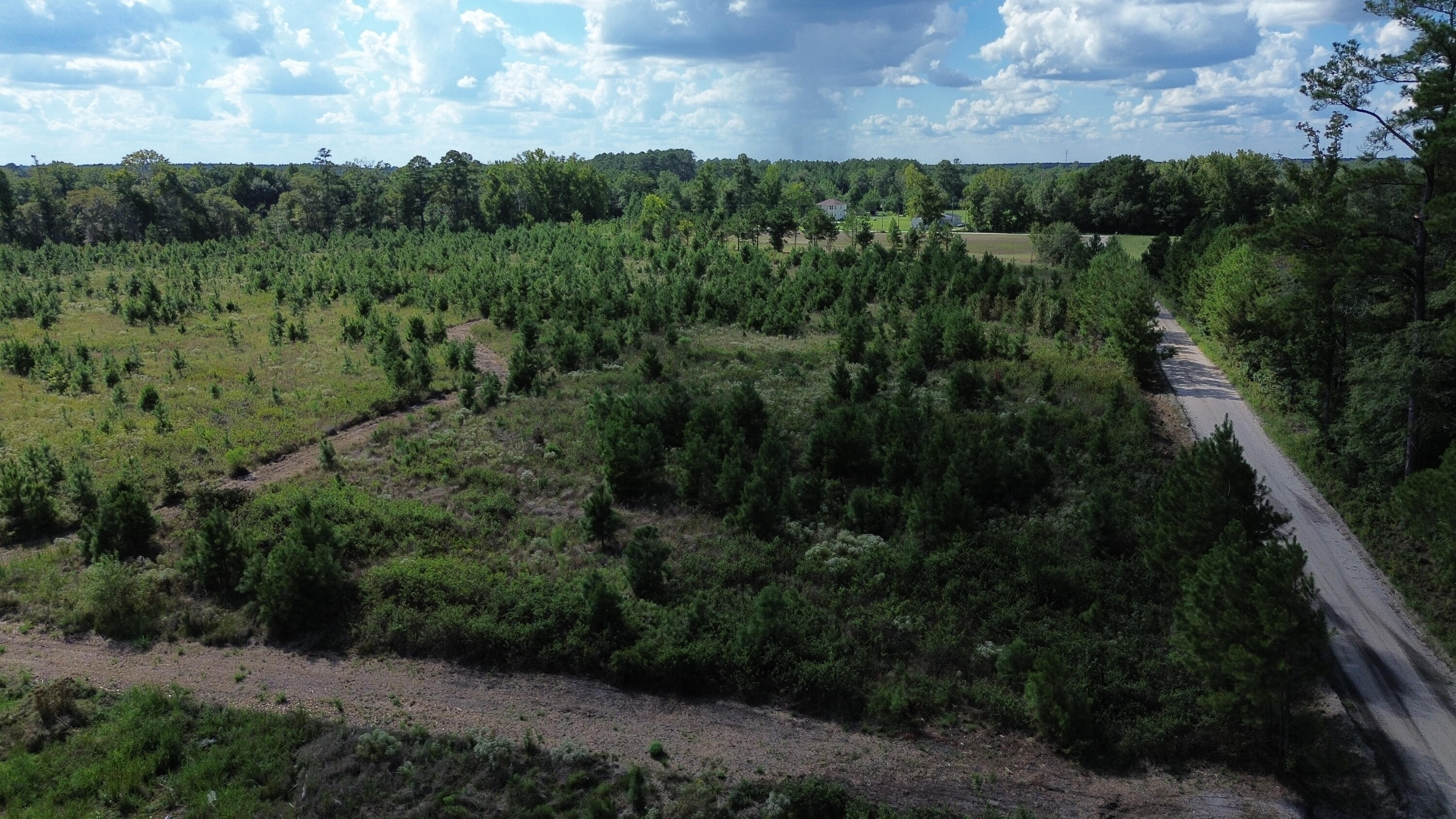 DJI_0047
