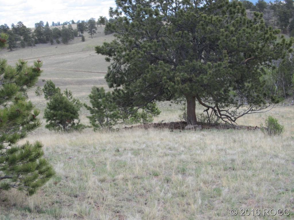 Hutke Road Hartsel, CO 80449 - Photo 2 of 5 a view of small yard