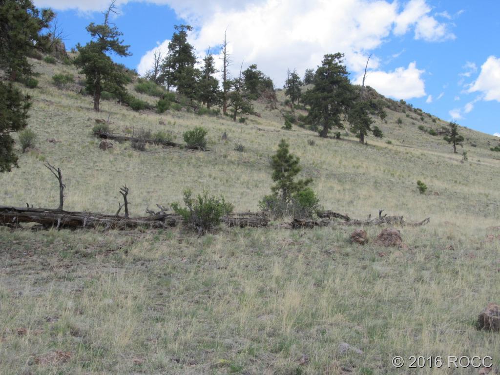 Hutke Road Hartsel, CO 80449 - Photo 5 of 5 a view of a dry yard with wooden fence