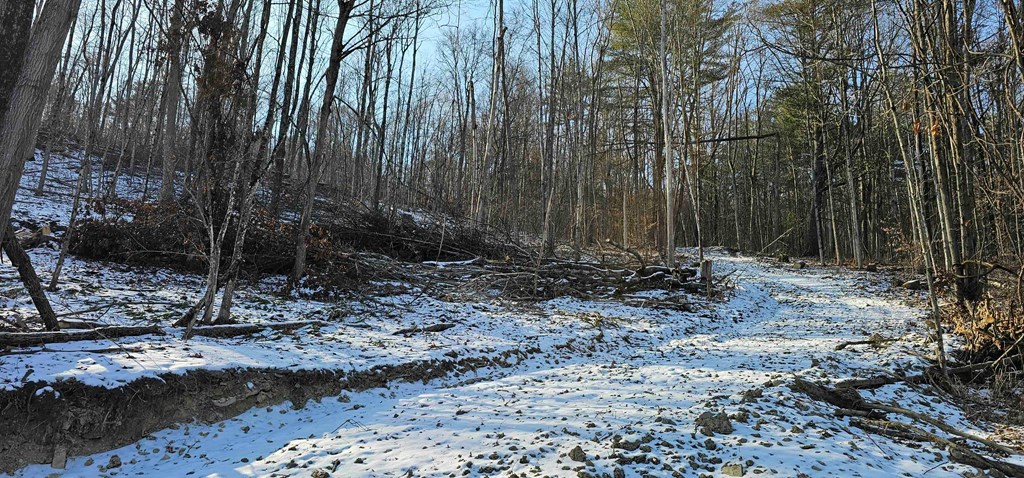 0 Jenkins Road Elmira, NY 14901 - Photo 24 of 25