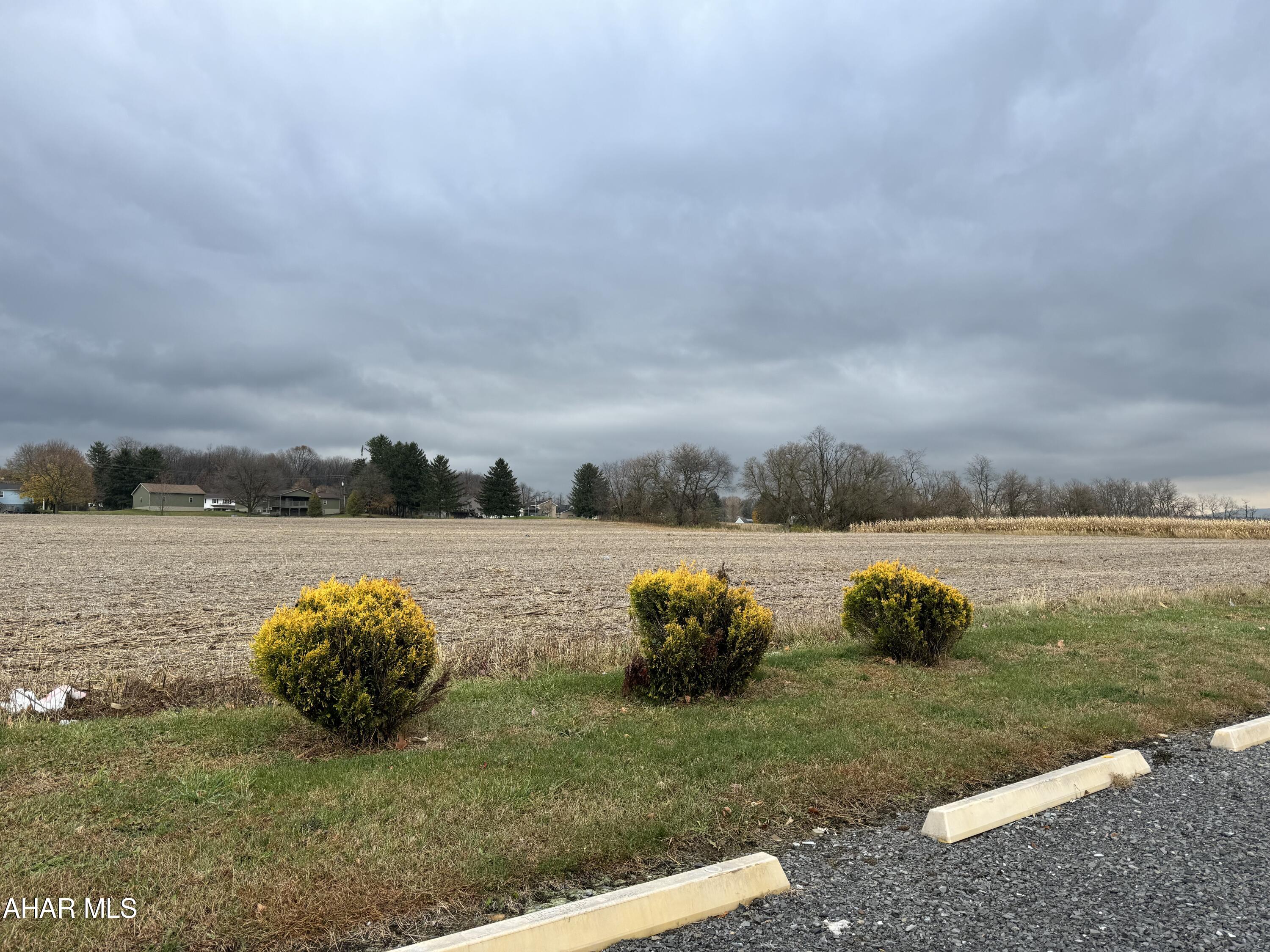 0 Woodbury Pike Roaring Spring, PA 16673 - Photo 2 of 3 Gallery Image 2