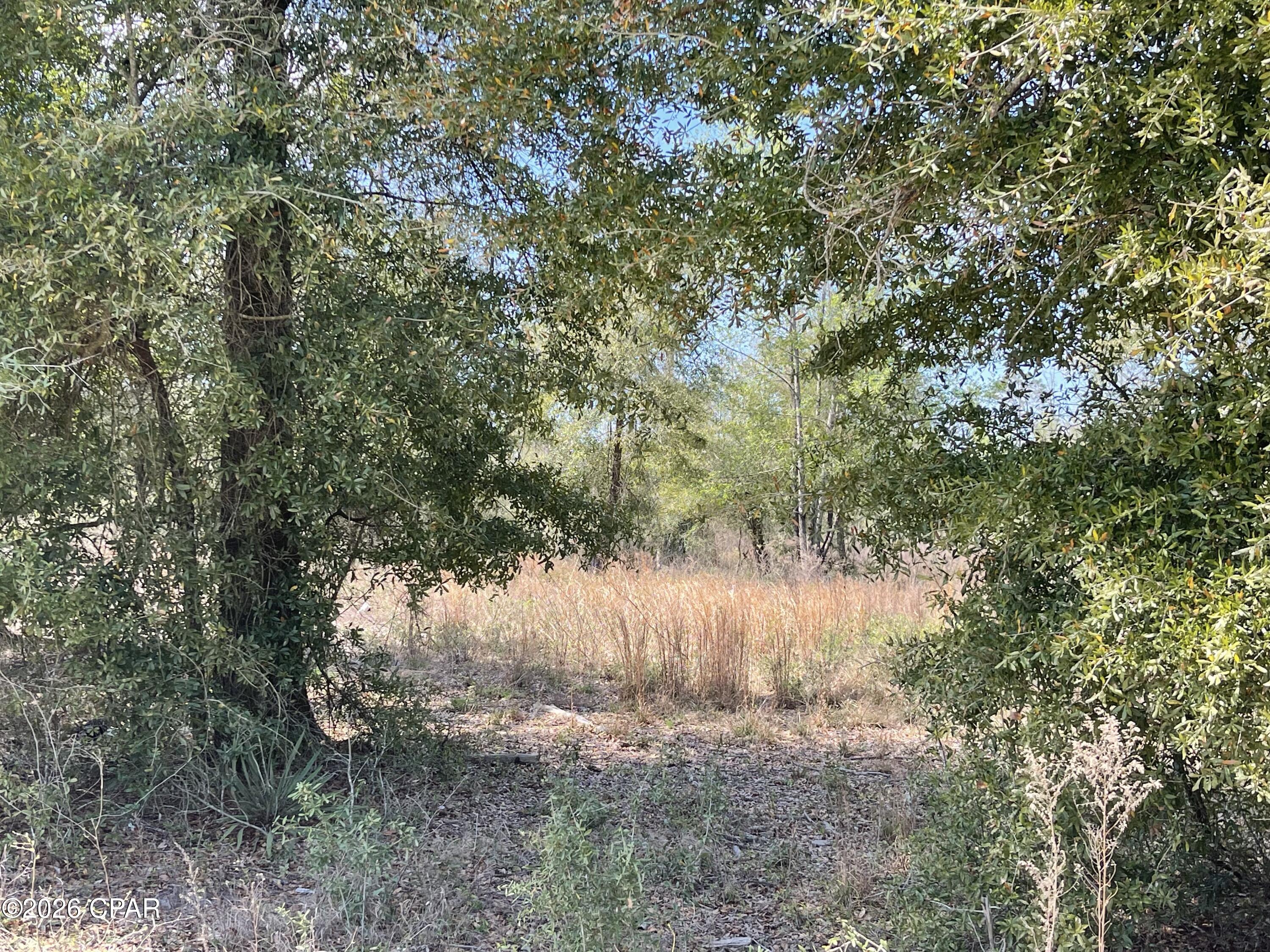 0 Speights Way Bascom, FL 32423 - Photo 3 of 9
