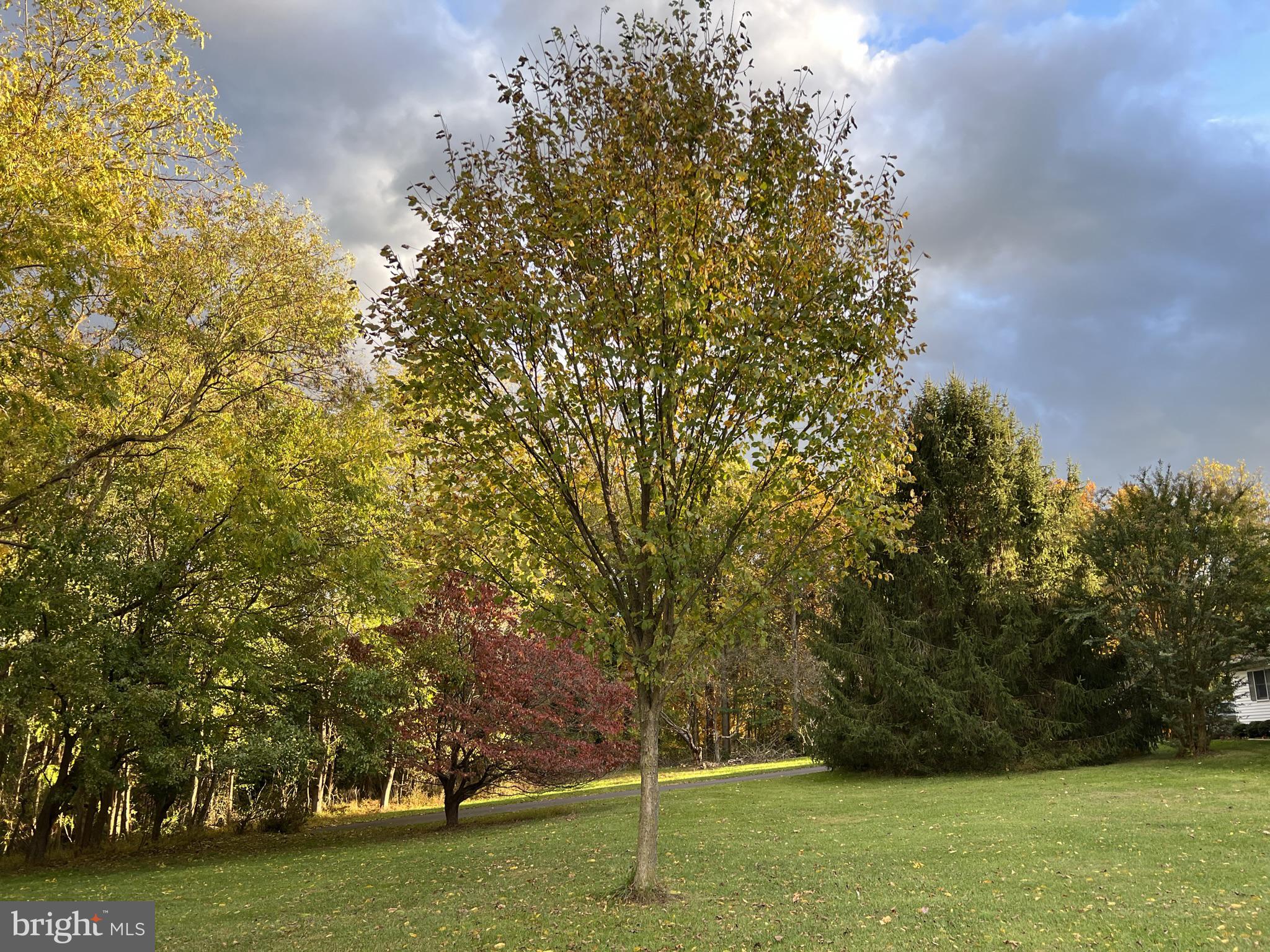 2410 Duvall Road Woodbine, MD 21797 - Photo 48 of 60 Gallery Image 48