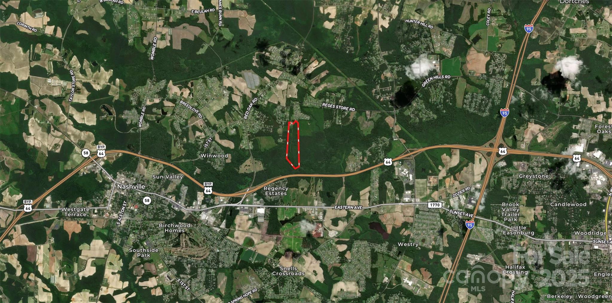 1202 Willow Brook Road Nashville, NC 27856 - Photo 5 of 20 a view of a plant with a tree