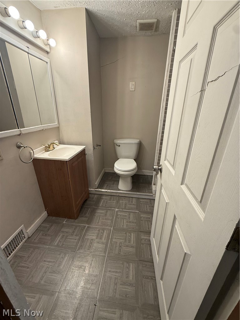 805 Carpenter Street Akron, OH 44310 - Photo 4 of 8 Bathroom with vanity and a textured ceiling