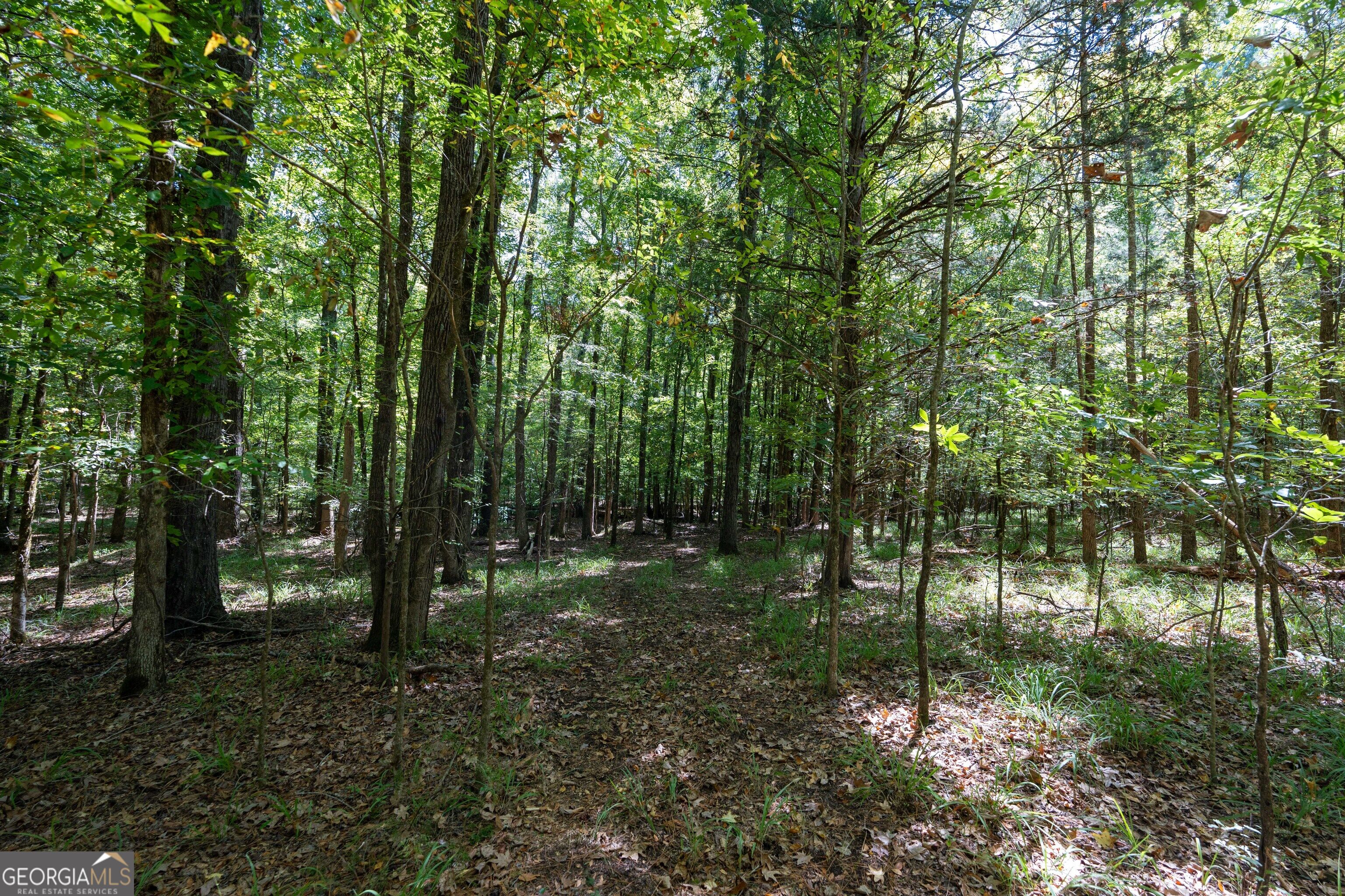 1419 Bobby Brown State Park Road Elberton, GA 30635 - Photo 46 of 90 Gallery Image 46