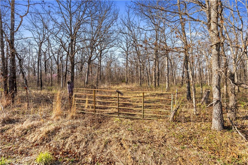 1 East Overland Road Nevada, MO 64772 - Photo 5 of 20
