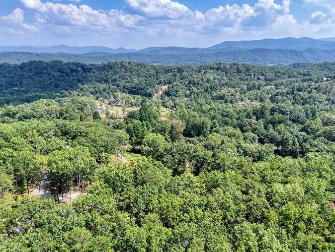458 Sowers Road Blue Ridge, GA 30513 - Photo 46 of 47