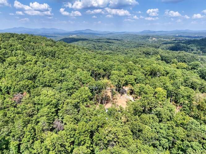 458 Sowers Road Blue Ridge, GA 30513 - Photo 47 of 47
