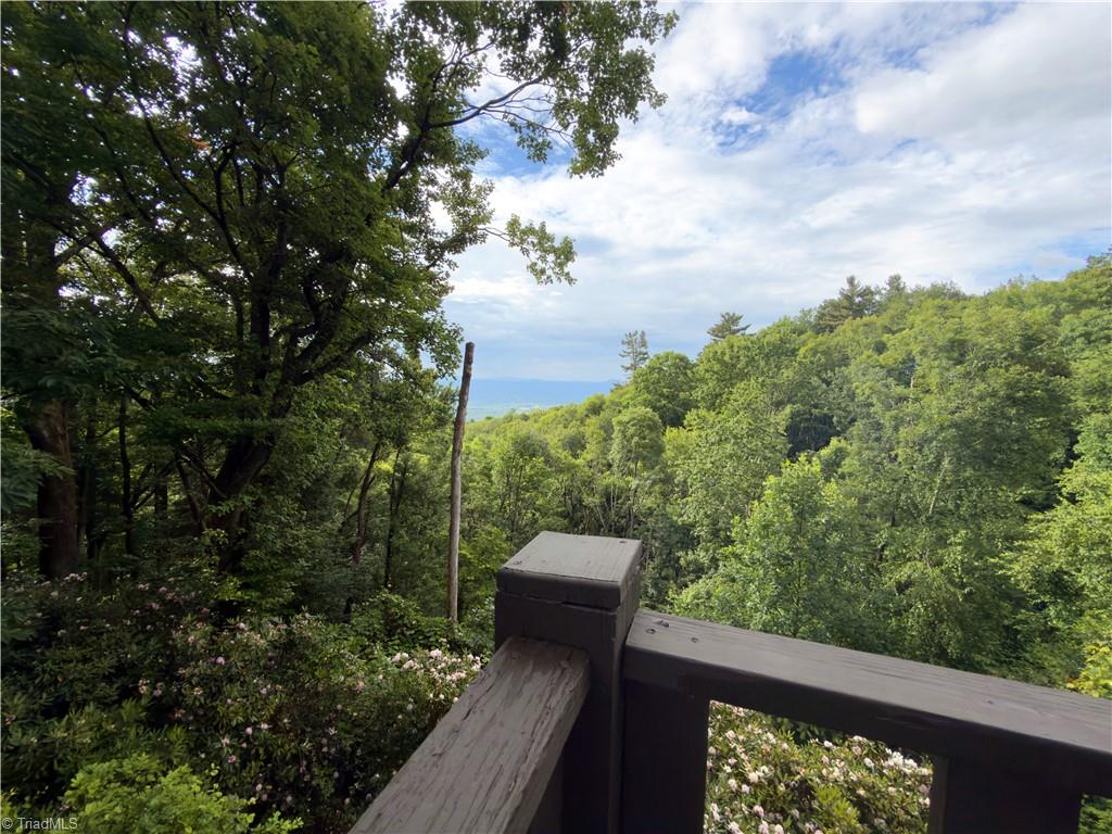 54 Overlook Way Fancy Gap, VA 24328 - Photo 19 of 32