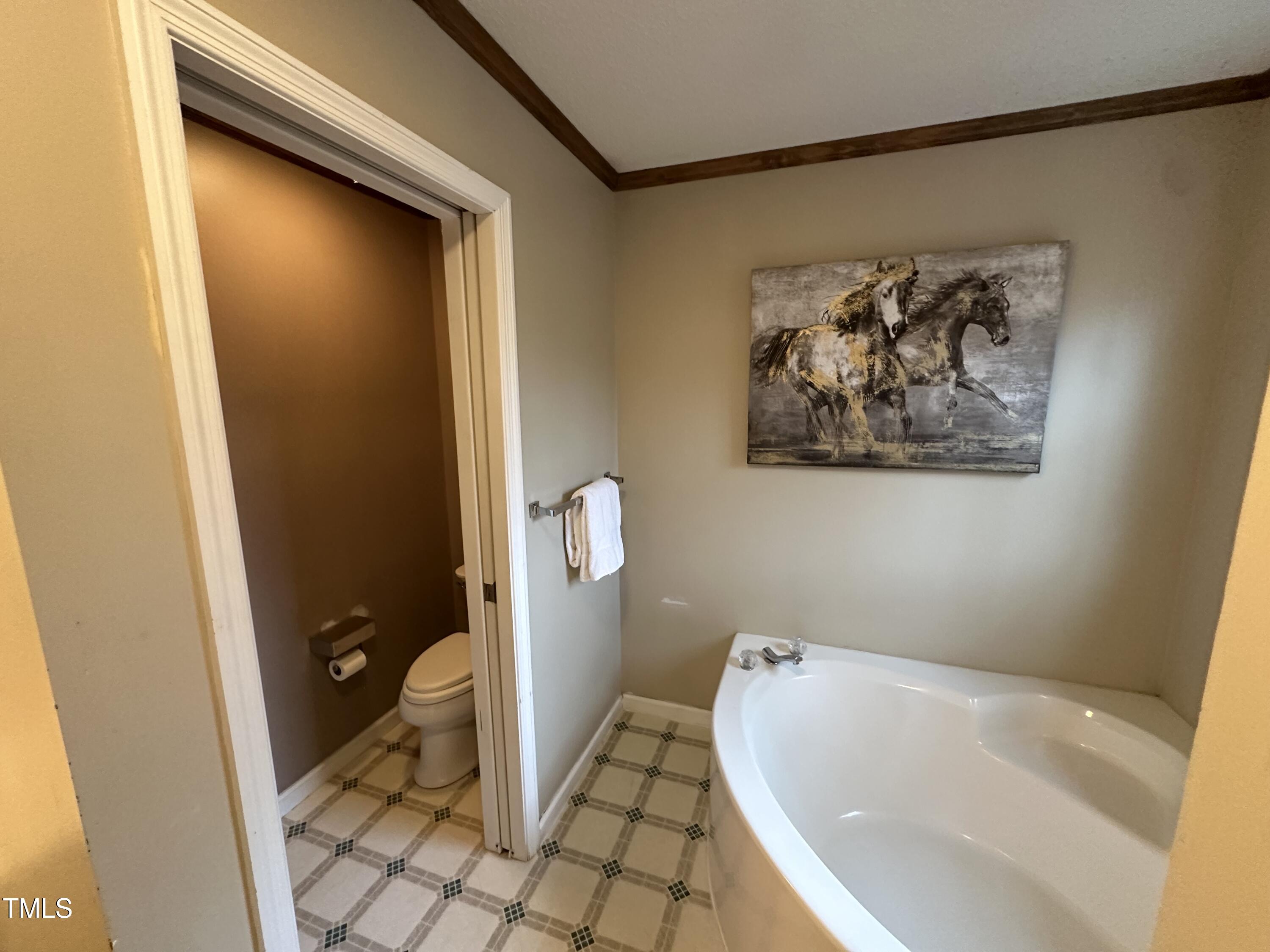 4051 Silk Hope Gum Spring Road Pittsboro, NC 27312 - Photo 31 of 67 Primary Bathroom