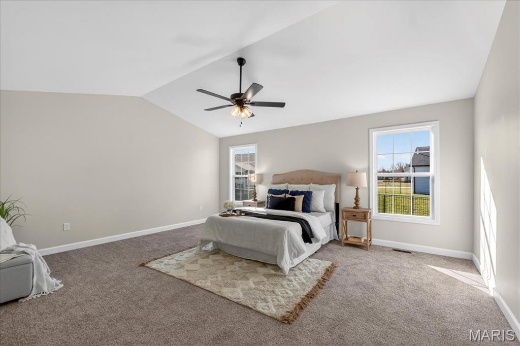 845 Mohave Court Shiloh, IL 62221 - Photo 24 of 48