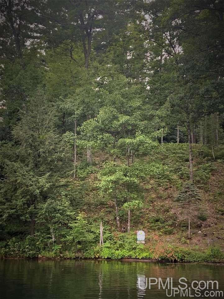 T-wi Tall Pines Road Florence, WI 54121 - Photo 4 of 5