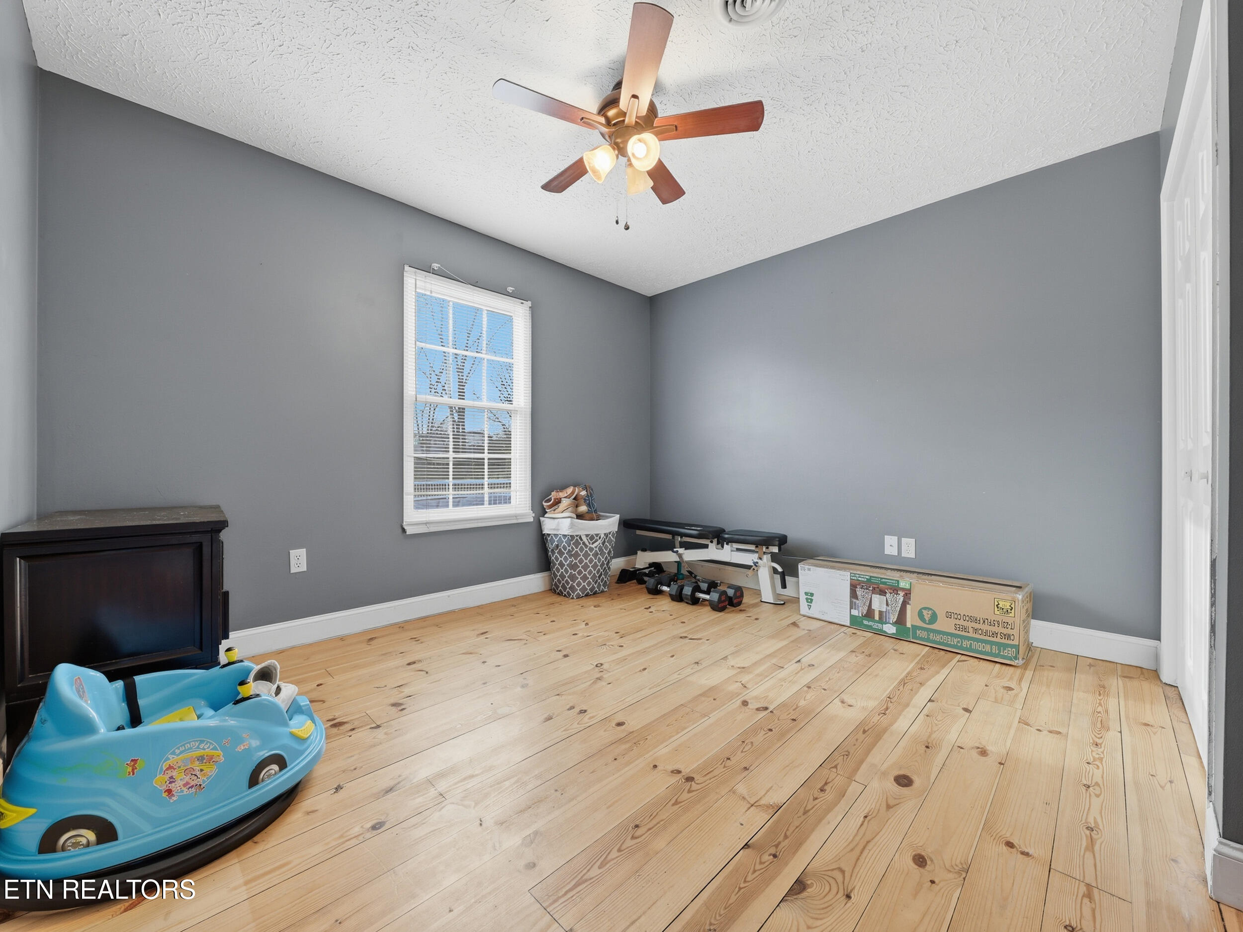 107 Sunflower Loop Seymour, TN 37865 - Photo 16 of 29 16_img_6354