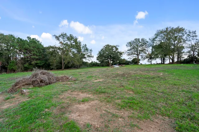 a view of a grassy field with trees in the background
