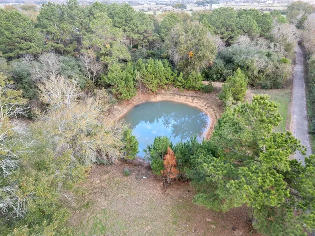 an aerial view of a house with a yard and large trees