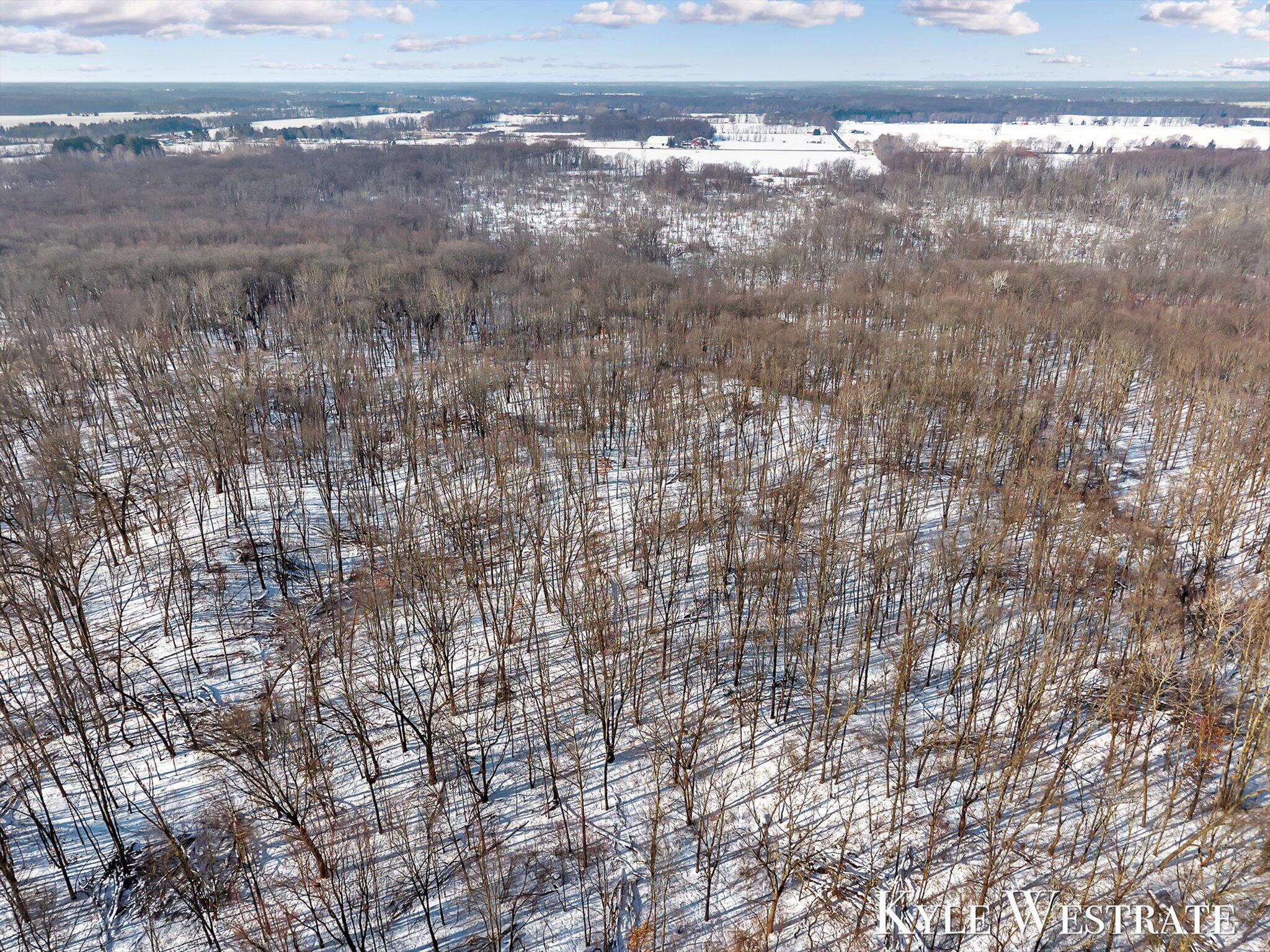 5860 36th Street South Climax, MI 49034 - Photo 53 of 61 69-DJI_20260213105332_0496_D