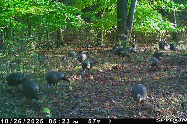 $529,900 | 5860 36th Street South, Climax, MI 49034