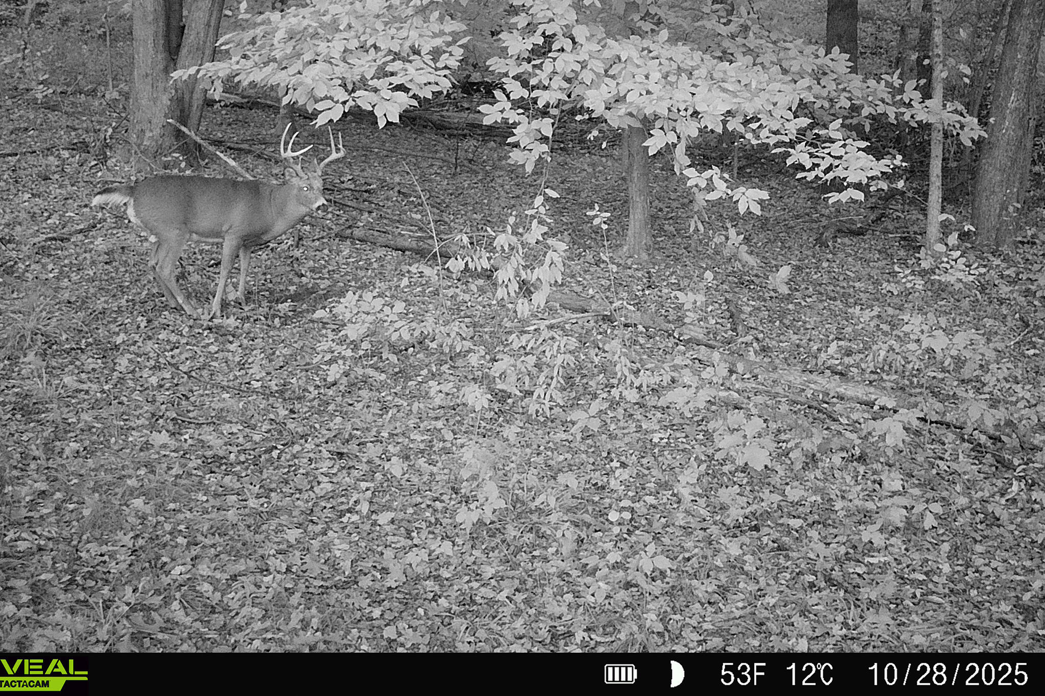 5860 36th Street South Climax, MI 49034 - Photo 59 of 61 SPYPNT4