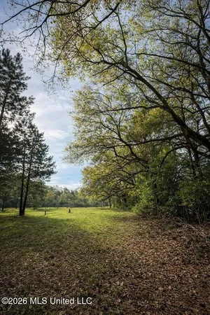 $250,000 | 14-acres F Z Goss Road, Picayune, MS 39466