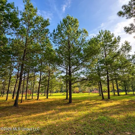 $250,000 | 14-acres F Z Goss Road, Picayune, MS 39466