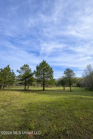 $250,000 | 14-acres F Z Goss Road, Picayune, MS 39466