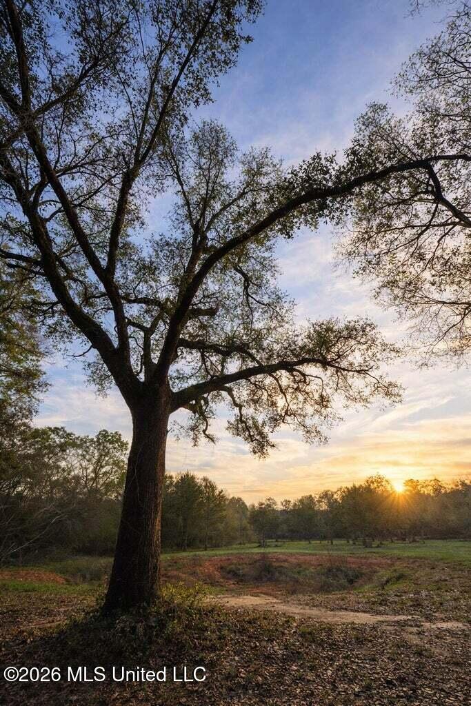14-acres F Z Goss Road Picayune, MS 39466 - Photo 5 of 10 FZGOSS5