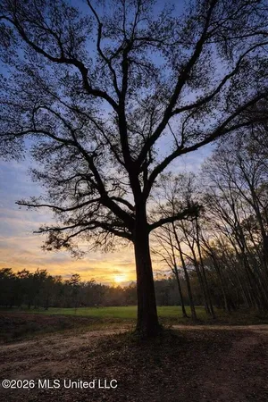 $250,000 | 14-acres F Z Goss Road, Picayune, MS 39466