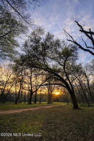 $250,000 | 14-acres F Z Goss Road, Picayune, MS 39466