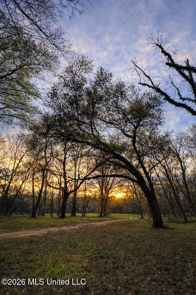 14-acres F Z Goss Road Picayune, MS 39466 - Photo 7 of 10 FZGOSS7